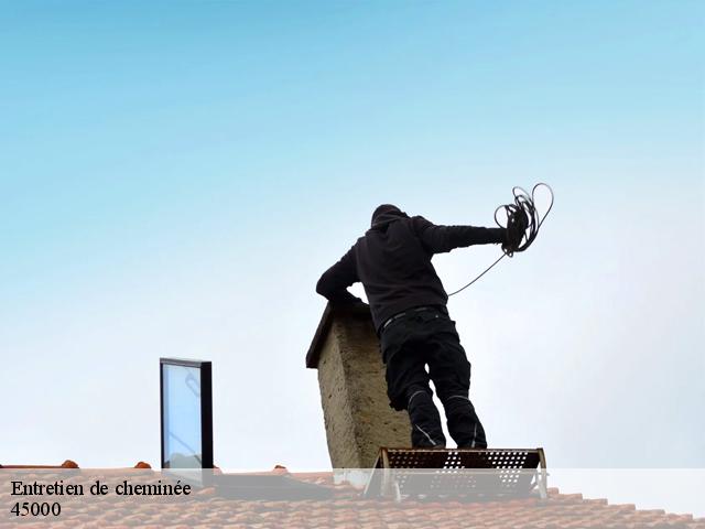 Entretien de cheminée 45000