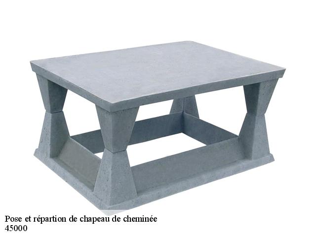 Pose et répartion de chapeau de cheminée 45000